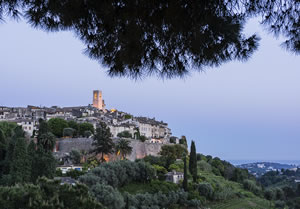 Autour de la rose