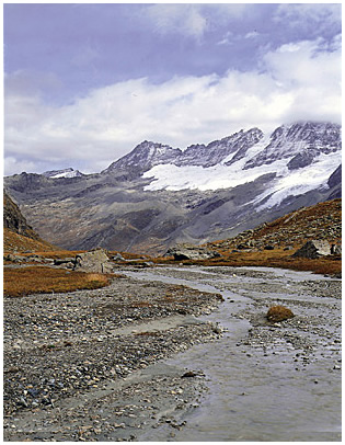 Parco Nazionale Gran Paradiso. Torrente glaciale in Valsavarenche. Sullo sfondo l'Herbetet.
