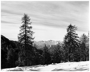 Paesaggio invernale a Estoul