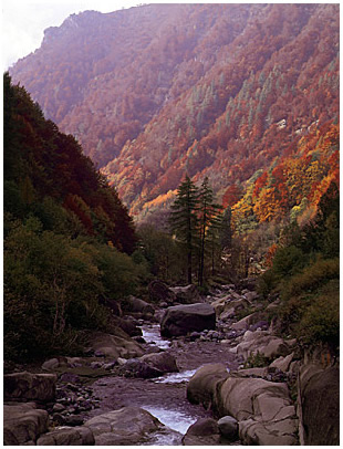 Parco Nazionale Gran Paradiso. Torrente nel Vallone di Piamprato