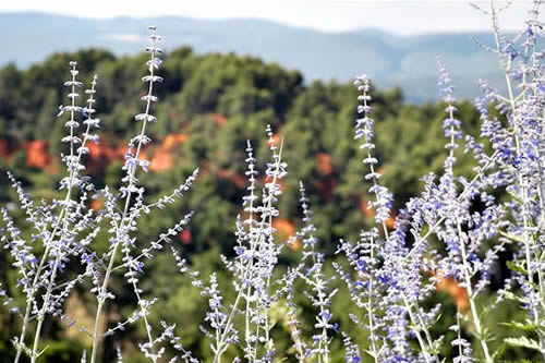 Fotografia dell'Alta Provenza