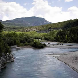 Fotografia dell'Alta Provenza