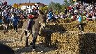 Nel Palio degli Asini e Giostra delle Cento Torri la città rievoca, ogni prima domenica di ottobre, il suo prospero passato medioevale. Il Palio segna l'inizio della Fiera internazionale del tartufo bianco di Alba.