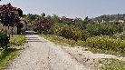 Anticamente le strade non percorrevano il fondovalle, ma il filo di cresta delle colline, in un continuo saliscendi che (nella sua parte elevata) permetteva una vista a trecentosessanta gradi sul paesaggio circostante. Ancora oggi molte di queste "strade di langa" (abbandonate dai flussi di traffico) sono percorribili a piedi e uniscono vigne e cascine. "Andar per langa" è l'espressione che denota questo antico modo di spostarsi, oggi riscoperto dalle associazioni di promozione turistica e proposto come forma di turismo intelligente ed ecosostenibile.