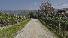 Anticamente le strade non percorrevano il fondovalle, ma il filo di cresta delle colline, in un continuo saliscendi che (nella sua parte elevata) permetteva una vista a trecentosessanta gradi sul paesaggio circostante. Ancora oggi molte di queste "strade di langa" (abbandonate dai flussi di traffico) sono percorribili a piedi e uniscono vigne e cascine. "Andar per langa" è l'espressione che denota questo antico modo di spostarsi, oggi riscoperto dalle associazioni di promozione turistica e proposto come forma di turismo intelligente ed ecosostenibile.