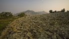 Terra arata e calanchi argillosi nel tardo autunno. 