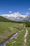 Lungo il Ru Cortod (Val d’Ayas, gruppo del Monte Rosa).