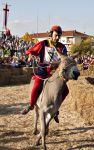 Durante il tradizionale Palio degli asini