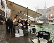 Un'altra fotografia scattata a Venezia, a ridosso del Ghetto e di prima mattina, quando i turisti ancora dormono ma le banchine dei canali sono già animate dai venditori di pesce e dagli acquirenti locali.