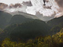 Neppure la foschia è necessariamente un nemico. In questa  fotografia il controluce e l'umidità presente nell'aria dopo la pioggia  contribuiscono a creare un'atmosfera suggestiva, sottolineata dal colpo di luce  sugli alberi in primo piano..